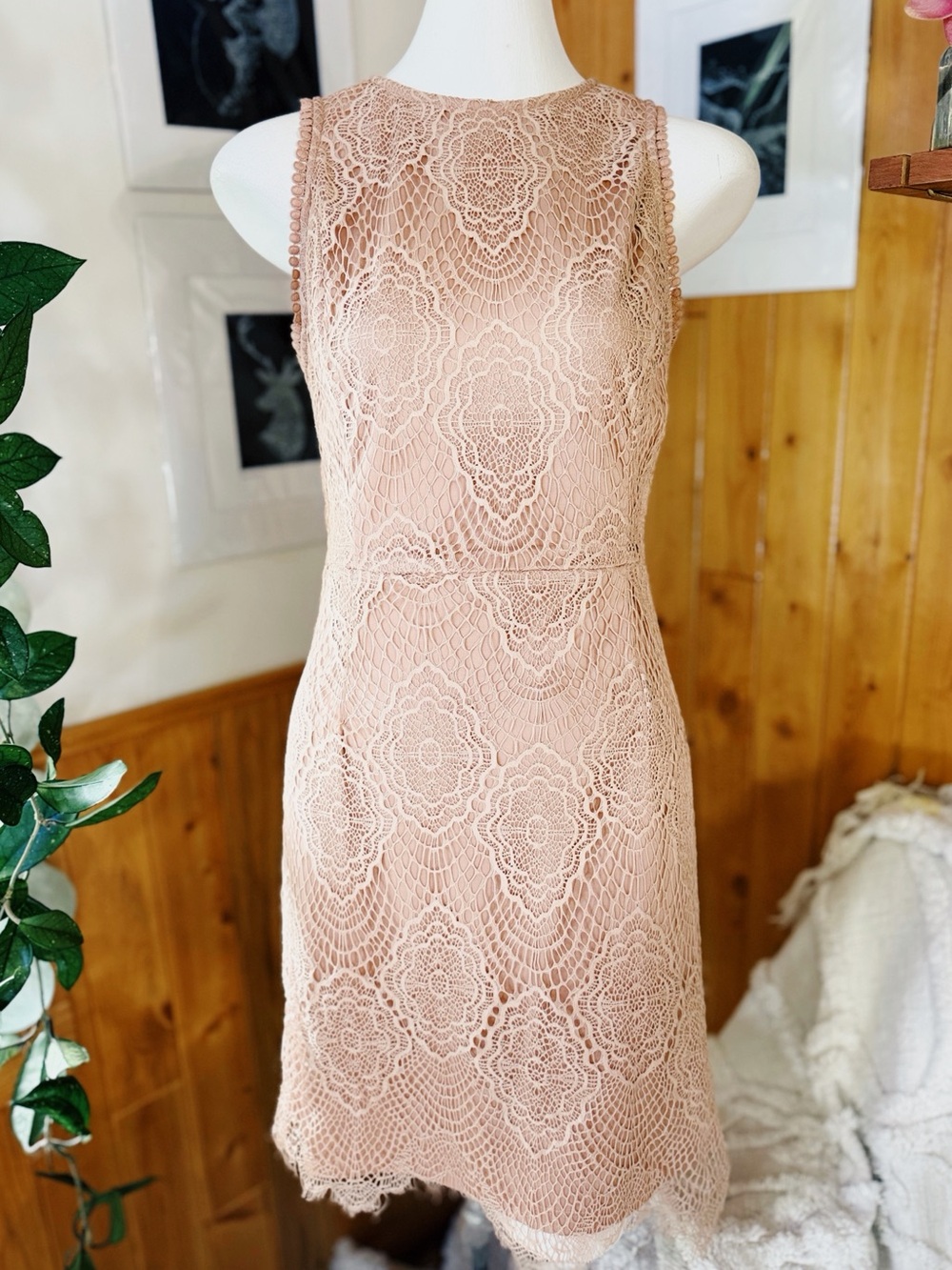 NWOT NikiBiki Blush Pink Lace Open Back Cocktail Dress Size L